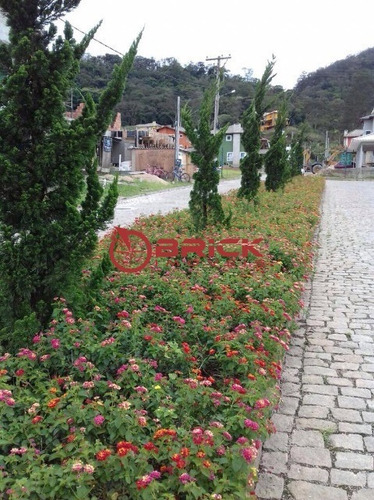 Imagem 12 de 22 de Terreno Com 400 M² Em Vargem Grande, Teresópolis/rj - Te00198 - 33622194