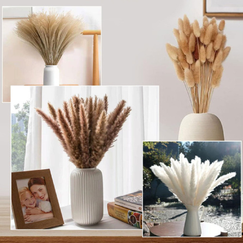 T Pampas Secas 100pz Plantas Decorativas Flores Artificiales