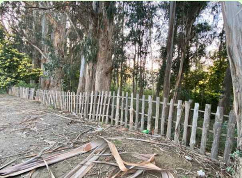 Lindo Terreno En Entorno Natural, Curauma (22784)