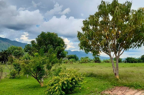 Imagen 9 de 10 de Fd Asein- Sd1454 Vende Hermosa Finca De 2 Hectareas Y Media En Chirgua, Municipio Bejuma Del Estado Carabobo.