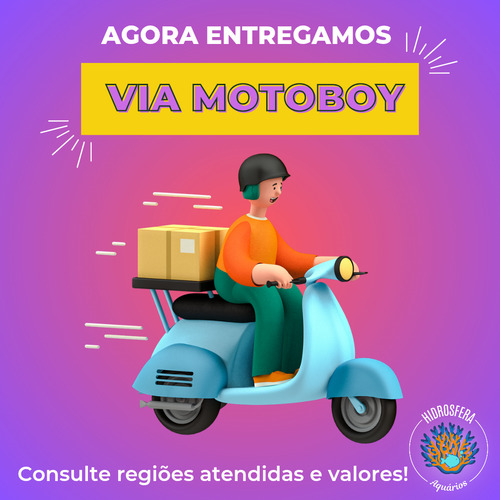 Caramujo Ampulária P/ Aquário Doce - Kit C/ 5 Unidades