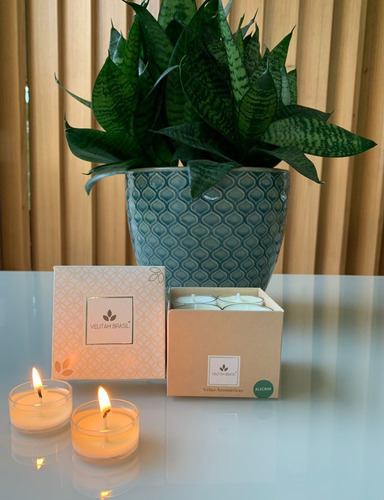 Imagem 4 de 5 de Kit Vela Aromática Premium Alecrim C/12 Mini Velas