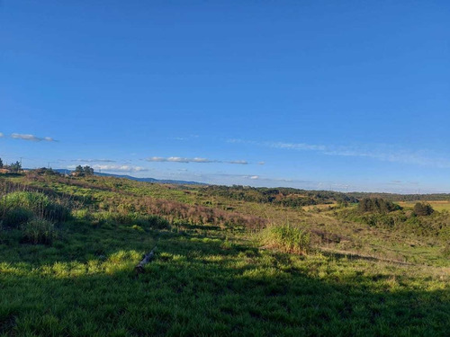 Br Terreno Com Ótima Topografia