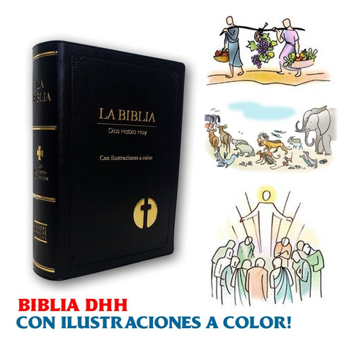 Biblia Dios Habla Hoy - Con Ilustraciones A Color