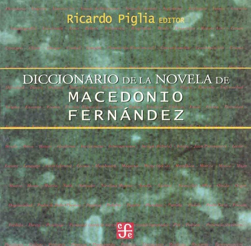 Diccionario De La Novela De Macedonio Fernández - Ricardo Pi