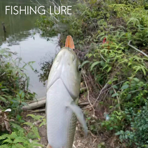 Cebo De Pesca Suave Con Cebo Suave Y Plomo, Cebo De Baño Par
