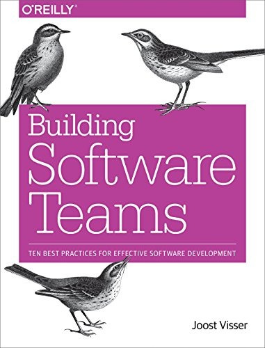 Book : Building Software Teams: Ten Best Practices For Ef...