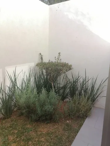 Casa En Venta Cerca Del Periférico