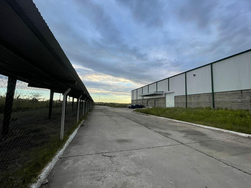 Imagen 15 de 30 de Fracción Industrial 26 Ha. Galpón 12.800 M² Cub. - Carlos Spegazzini