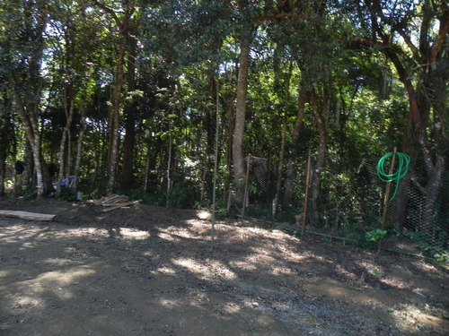 Ig Lotes Em Ibiúna - Plantão No Local - Visite-nos!