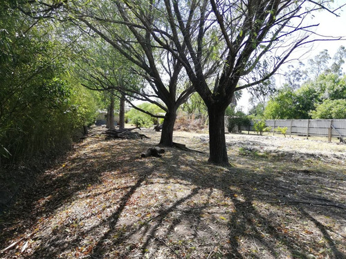 Terreno 1600m2 C/galpón 45m2 Ose Valioso Entorno Rural. R.34