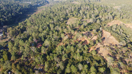 Terrenos En Venta En El Bosque Cercano A Tapalpa, Sayula Y San Gabriel