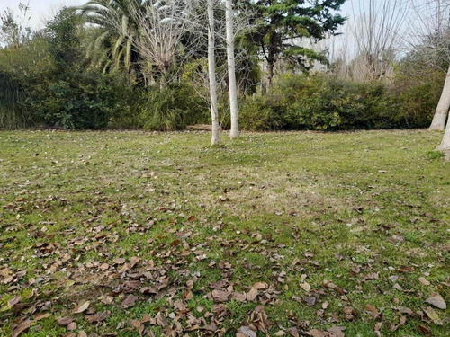 Imagen 5 de 5 de Lote Con Arboleda En Barrio De Casa Quintas