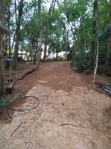 Imagem 6 de 14 de Chácara A Venda Em Toledo - Pr 5600 M²