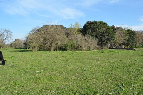 Imagen 3 de 17 de Terreno Para Empredimiento Manzanares 15 Hectareas