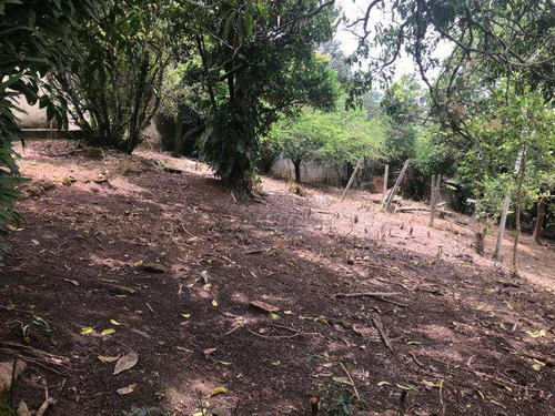 Imagem 13 de 15 de Jundiaí Mirim | Chácara 126m 2 Dorms 3 Vaga | R-7733 - V7733