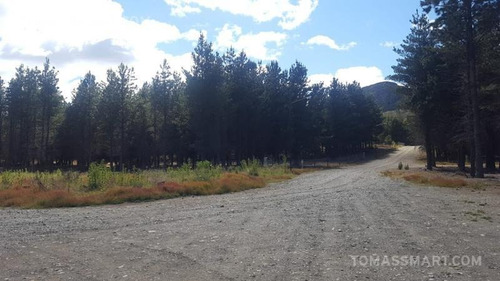 Imagen 2 de 2 de Terreno - Dina Huapi