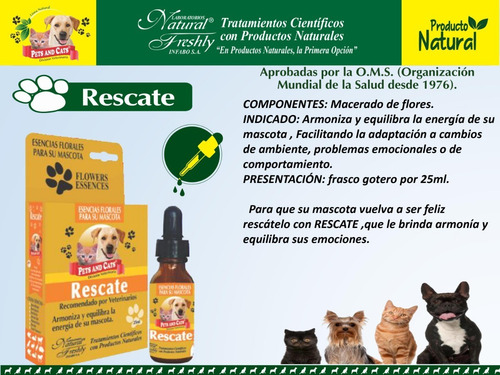Esencias Florales Para Mascotas Equilibra Su Comportamiento
