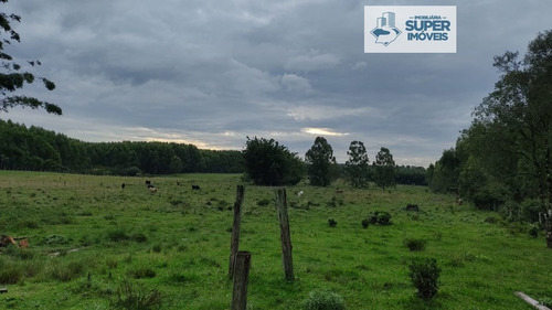 Imagem 1 de 8 de Chácara A Venda No Bairro Monte Bonito Em Pelotas - Rs. - 1674-1
