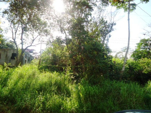 Imagem 3 de 13 de Terrenos A Venda No Parque Terceiro Lago - 11383