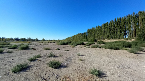 Imagen 10 de 30 de Chacra En Venta Con Casa Y Galpón Cervantes