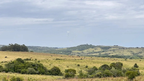 Campo 26 Has Sobre Camino Los Molles