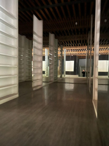 Local Comercial En Renta O Venta En Colonia Tabacalera