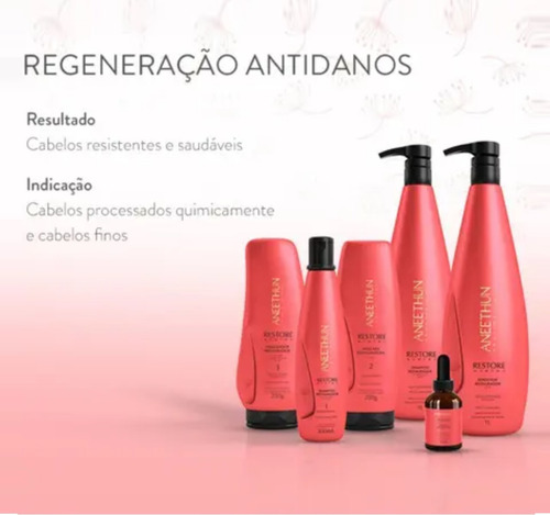 Aneethun Shampoo Restaurador Restore System 300ml