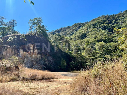 Terreno En Venta En San Sebastian Del Oeste