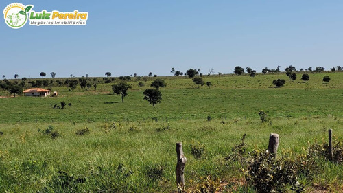 Imagem 5 de 15 de Fazenda À Venda Em Ribas Do Rio Pardo - Ms - 110 Hectares (pecuária) - 2122