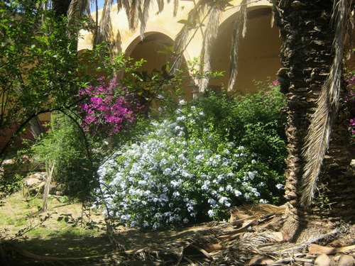 Imagen 5 de 10 de Terreno En Venta San Diego De La Unión