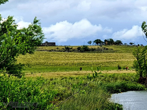 2 Campos En Durazno A 120 Km De La Ciudad - Ref: 1867