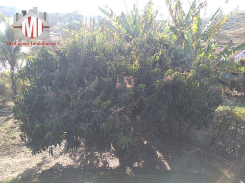Imagem 3 de 30 de Linda Chácara Com 03 Dormitórios, Pomar Formado, Ótimo Acesso À Venda, 2000 M² Por R$ 420.000 - Zona Rural - Pinhalzinho/sp - Ch0523