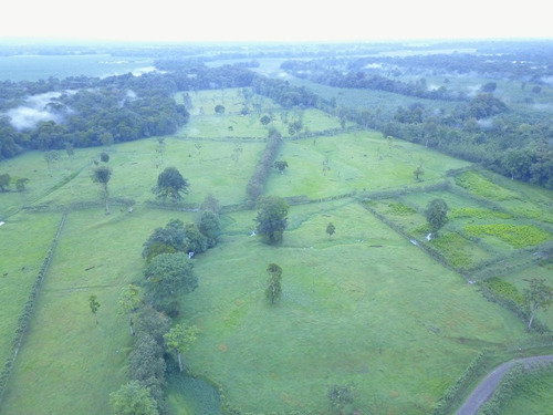 Imagen 6 de 10 de Excelente Finca, Lo Que Busca , Agrícola, Ganadera, Bosque