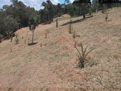 Imagem 10 de 16 de Área Jundiaizinho (terra Preta) Mairiporã/sp - 1309