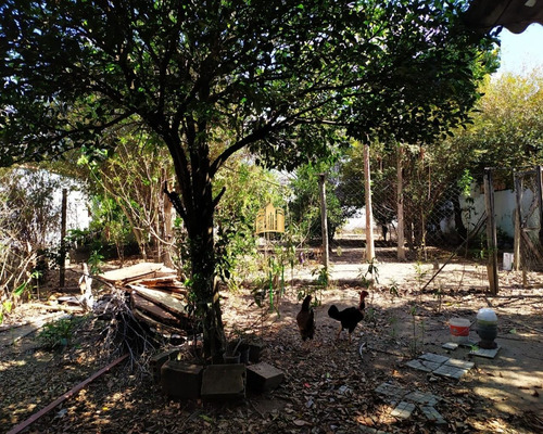 Imagem 28 de 29 de Casa No Bairro São José - Esmeraldas - Ca00212 - 34590425