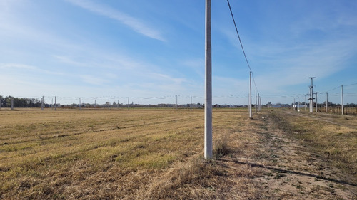 Amaneceres Del Sur, Lanzamiento Loteo En Saladillo-posesion Inmediata