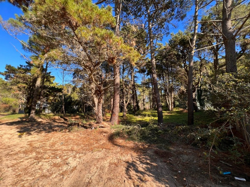 Imagen 7 de 16 de Lote En Carilo Hornero Y Paraíso