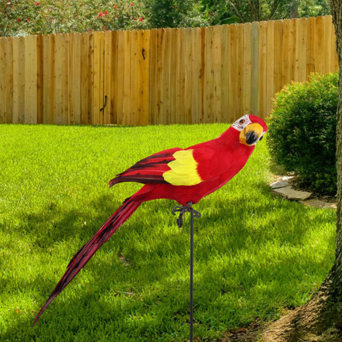 Pájaro Loro Modelo Simulación Loro Pluma Loro Guacamayo
