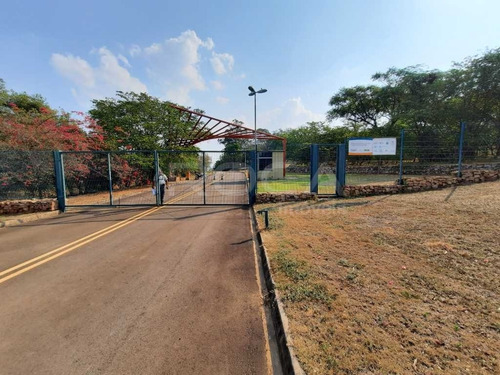 Aluguel De Comercial / Sala Na Cidade De São Carlos 27733