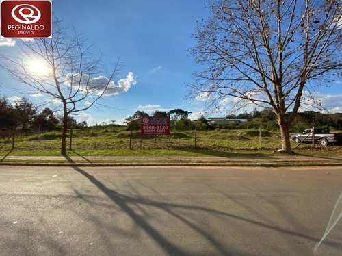 Imagem 4 de 4 de Terreno Para Venda - 00036.011