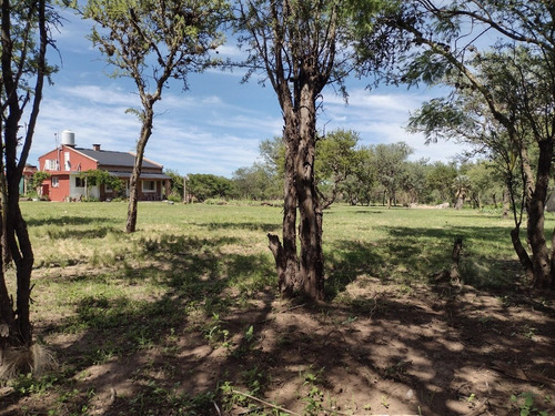 Imagen 22 de 29 de Casa De Campo En Traslasierras