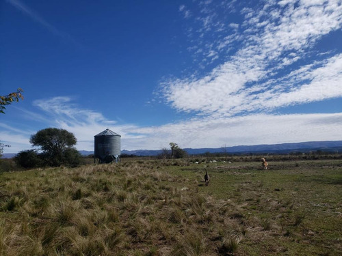 Imagen 6 de 29 de Campo En Venta Santa Teresa, La Cumbrecita