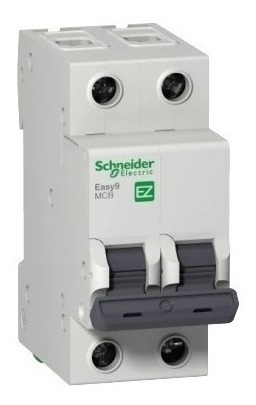 Termomagnetica Bipolar Schneider Electric 2x16