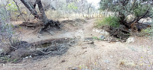 Imagen 12 de 21 de C07 119 Has De Campo Ganadero En San Carlos Mina