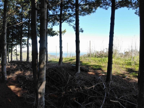Terreno En Navidad, Localidad De Matanzas