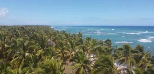Terreno En Bavaro Punta Cana, La Vacama De Nisibon, Terreno Con Vista Al Mar De 277,672 Metros, 240 Metros Lineal De Playa, Precio Economico