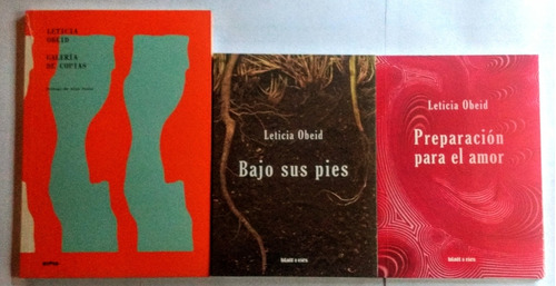 Combo Leticia Obeid / Ripio Editora Y Ed. Blatt & Ríos