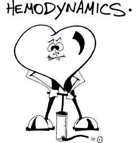 Hemodynamics, De Malcolm Rosenberg. Editorial Malcolm S Rosenberg, Tapa Blanda En Inglés