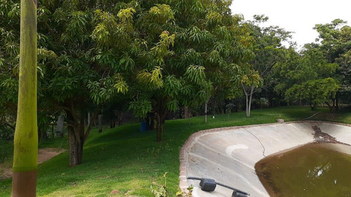 Imagem 10 de 30 de Chácara À Venda, 5688 M² Por R$ 370.000,00 - Recreio Paraíso - Elias Fausto/sp - Ch0015